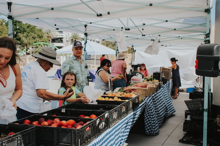 Farmer Market