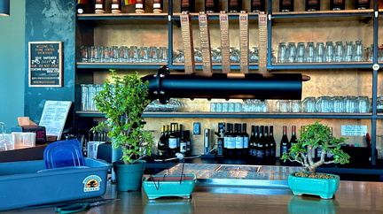 gcb-bonsai-brews-cover-