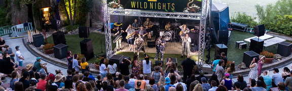 Wild Nights - The Big Wu