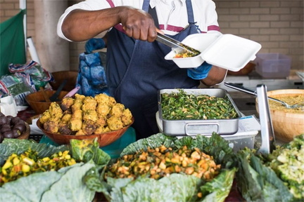 Bristol Plant-Based Parkfest