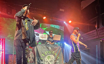 Cyprish Hil A Tribute to Cypress Hill