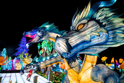 Tianyu Lights Festival Charlotte