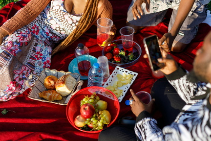 Unity Picnic In the Park