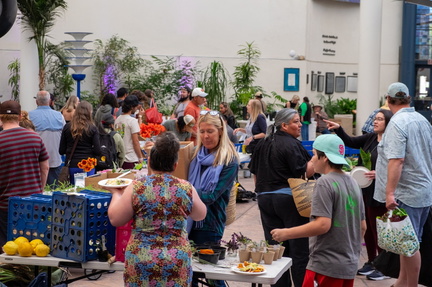 San Diego Seed Swap