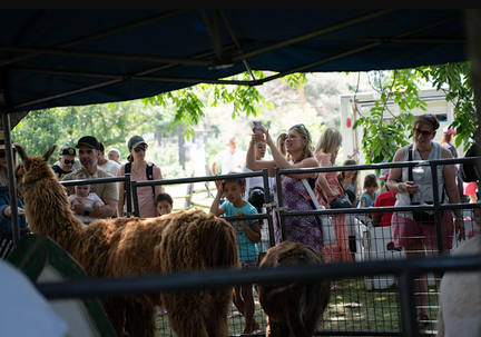 2nd Annual Family Fun Day