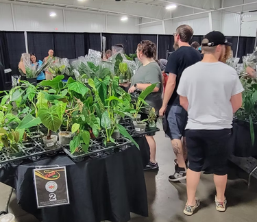 The BIG Plant Expo 2025