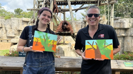 Painting with Orangutans