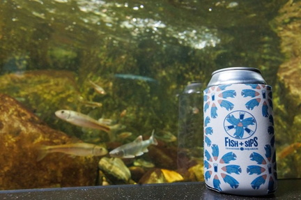 fish and sip