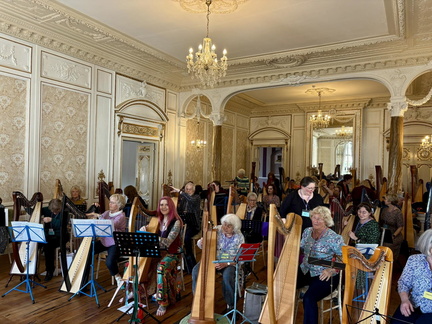 Harp Ensemble for The Beginning Harpist
