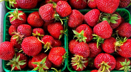 Strawberry Festival