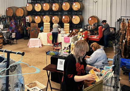 The Ann Arbor Oddities Bazaar