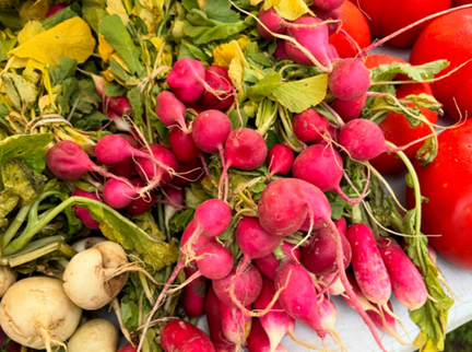 Farmer Market