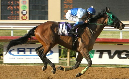 Dollar Day &amp; Lone Star Turf Festival