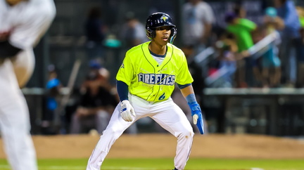 Columbia Fireflies vs. Myrtle Beach Pelicans