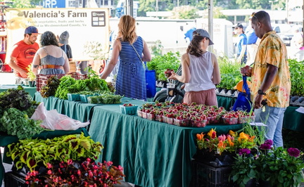 BMI Farmers Market