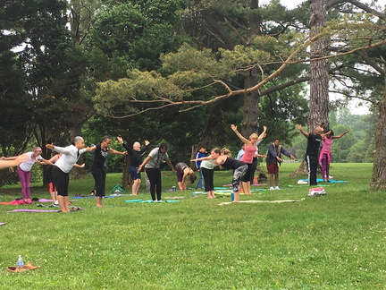Free Community Yoga on the Lawn