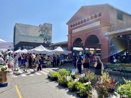 Sunday Market