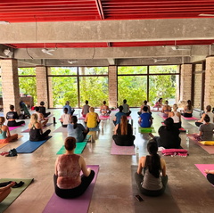 Tropical Yoga The Kampong, National Tropical Botanical Garden