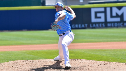 Buffalo Bisons