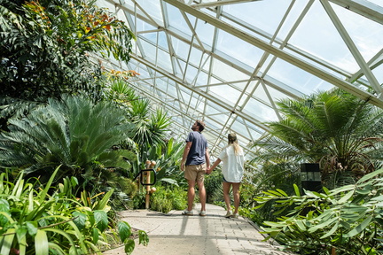 2019_Traveling_Newlyweds_Hosted_Botanical_Conservatory_small_716ef5c4-332e-4f26-9c4a-f40917c556ad_74D863FA-5056-BF65-D666D8C225C9BD8A-74d8634b5056bf6_74d86741-5056-bf65-d6a0096364a5f486