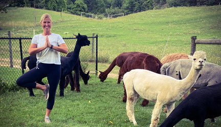 Alpaca Yoga