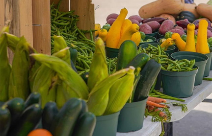 YMCA Langham Creek Farmers Market