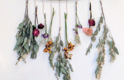 Class I Can't Dry Flowers