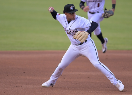 Carolina Mudcats vs. Fayetteville Woodpeckers