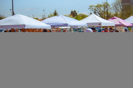 The Farmer &amp; Artisan Market