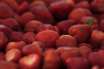 Strawberry Fest
