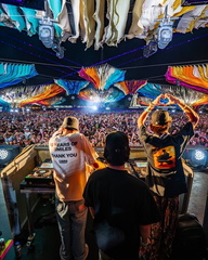 FVDED In The Park