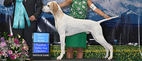 Western Washington Summer Dog Show Cluster