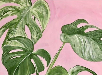 Monstera &amp; Mimosa Morning