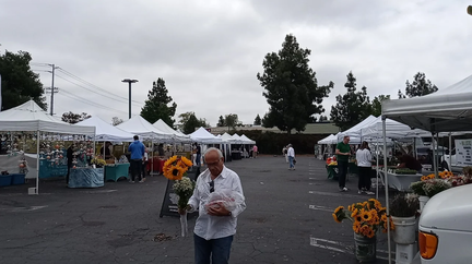 Agoura Hills Ladyface Marketplace