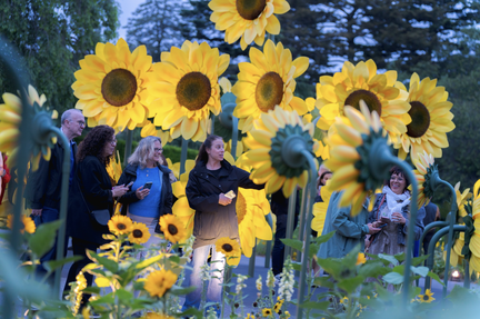 Van Gogh’s Flowers After Dark