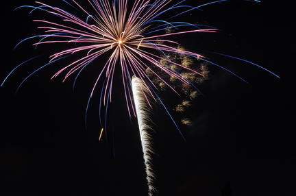 Independence Day Celebration
