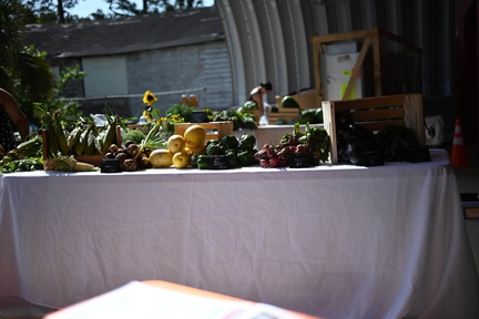 Saturday Farmers Market