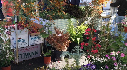 downtown-palo-alto-farmer