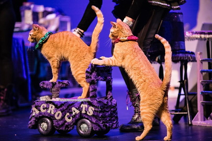event_image_1_copy_0
