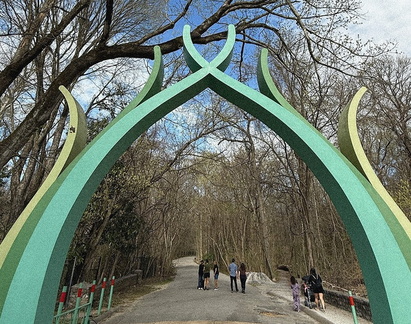 Saturday Walks with Artists - Overton Park