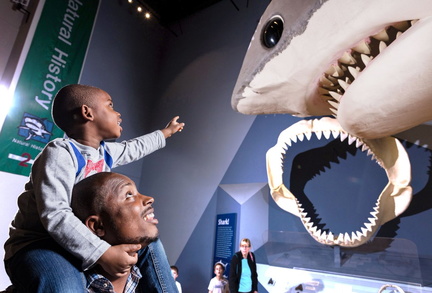 First Sunday at the State Museum