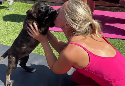 Sit Stay Down Dog Yoga