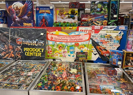 Toys For the Ages Expo
