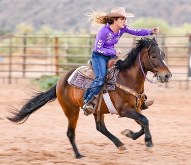 The Rodeo