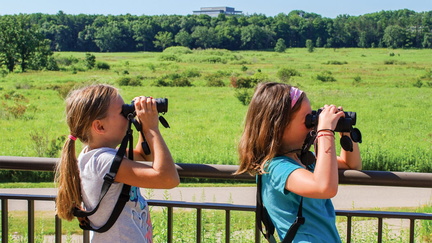 Family Nature Walk - University of Wisconsin Madison Arboretum Visitor Center