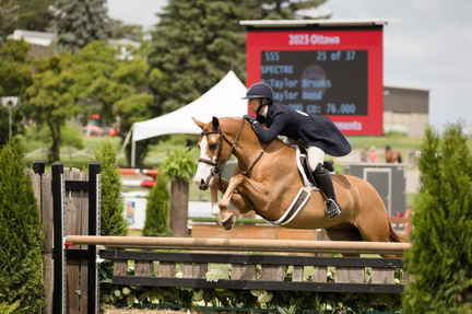 RBC Summer Tournaments Horse Shows