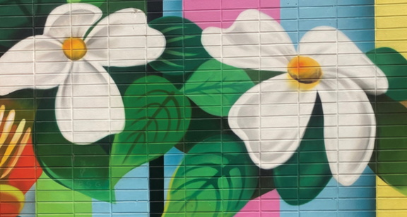 Culture Walk Murals of Downtown