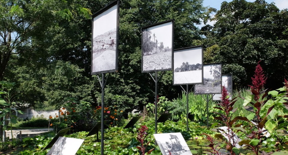 As the Crow Flies Garden Tour - Museum London