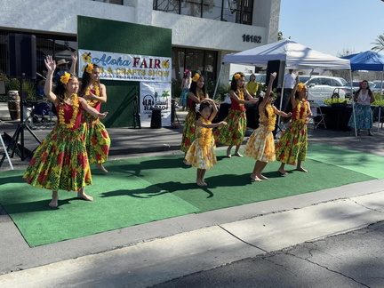 Aloha Fair HB
