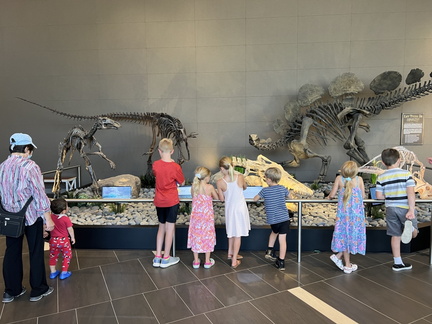 exhibit